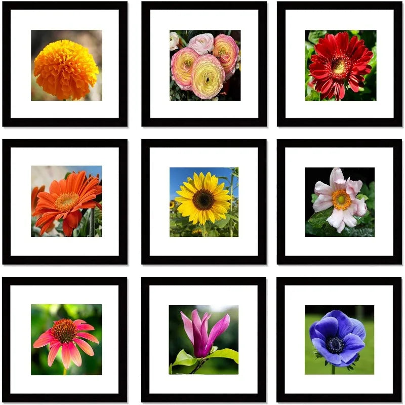12x12 Black Picture Frame Set of 9 for 8x8 or 12x12 Photos