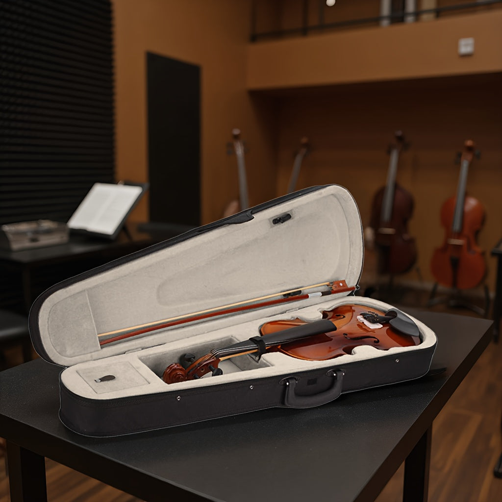 Violin Package With Linden Wood Top Ebony Pegs Case Bow For Beginners