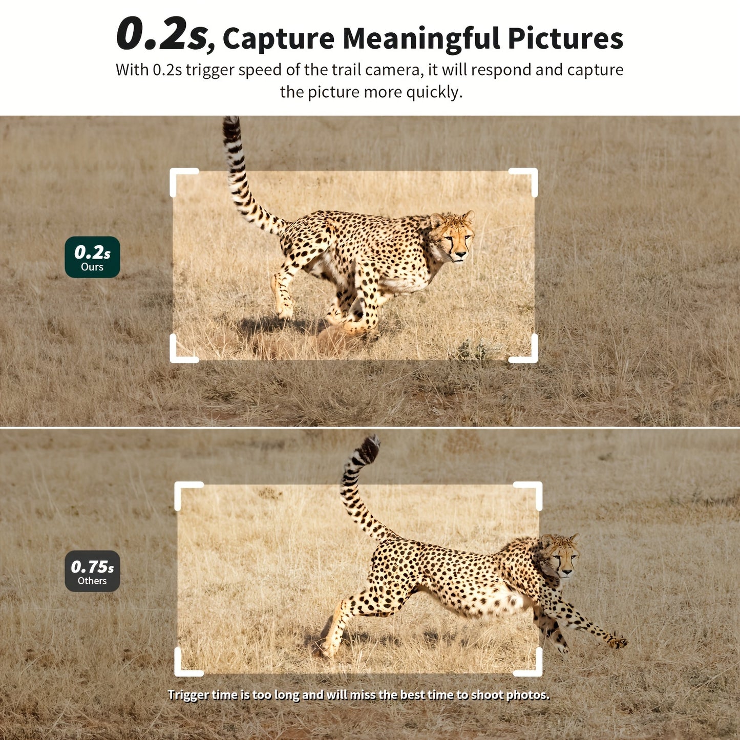 GMOX 4G LTE Trail Camera 4K LiveView Night Vision Solar