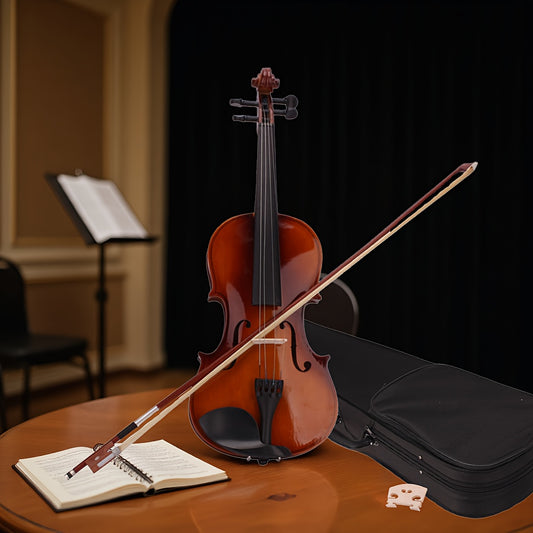 Violin Package With Linden Wood Top Ebony Pegs Case Bow For Beginners