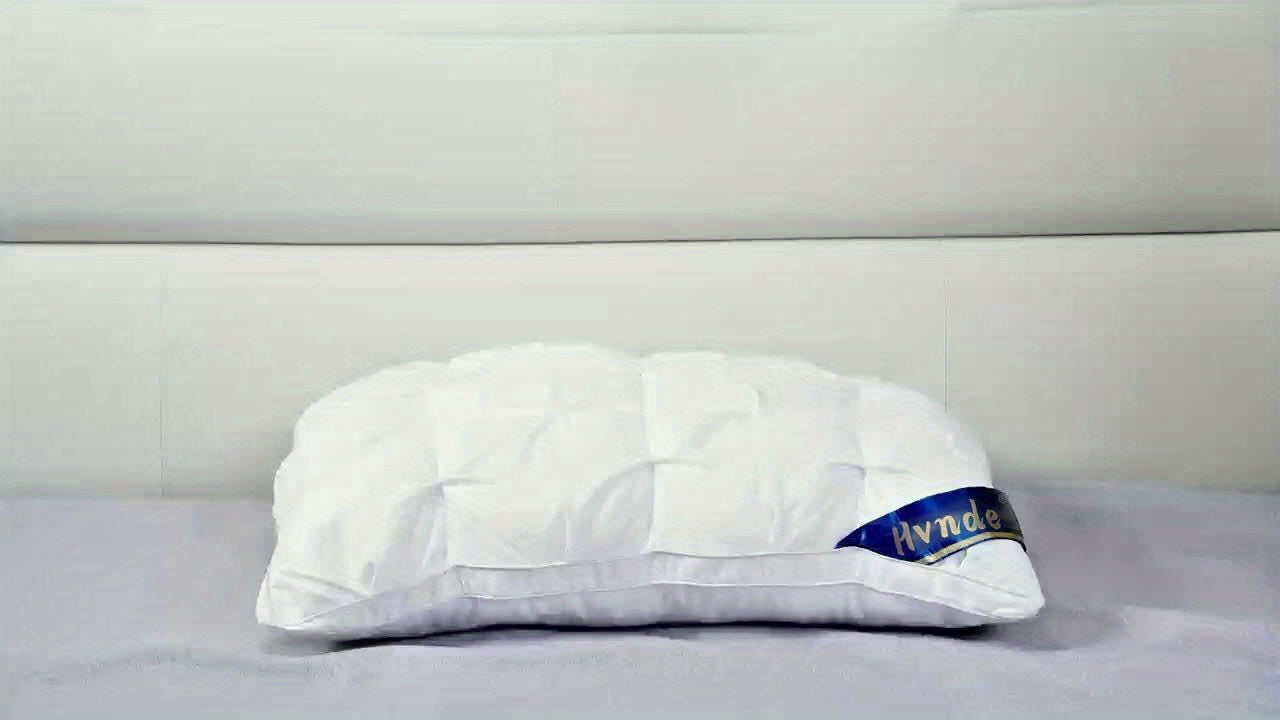 HVNDE 2 Pack Luxury Hotel Collection Pillows